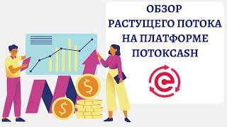 Обзор Растущего Потока на платформе Поток Cash | Заработок в интернете 2023