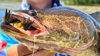 Сумасшедшие РЫБЫ В ГУЩЕ ТРАВЫ! ЗМЕЕГОЛОВ АТАКУЕТ ЛЯГУШЕК! StalingradFishers в КАЗАХСТАНЕ!