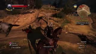 Witcher 3: Mounted Fight