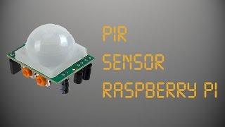 PIR Sensor (Raspberry Pi)