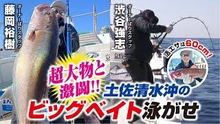 活エサは60cm!土佐清水沖のビッグベイト泳がせ釣り