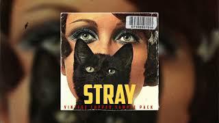 [FREE] Vintage Chpped Sample Pack "Stray" (Prod.hegel) (Samples For boombap, ... )