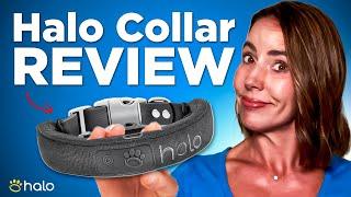 Halo Collar Review: Why Model 3 Has Dog Owners SHOCKED (2025)