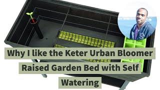 Keter Urban Bloomer Raised Garden Bed with Self Watering Planter 