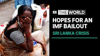 IMF team discuss bailout options in Sri Lanka amid economic crisis and social unrest | The World