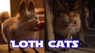 Loth Cats | Star Wars Creatures