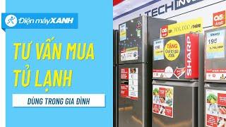 Tư vấn chọn mua tủ lạnh cho gia đình • Điện máy XANH