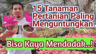 15 Bisnis Pertanian Yang Paling Menguntungkan, Tanaman Pertanian Yang Paling Menguntungkan,