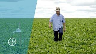 Smart Fields in Brazil | Digitalization in Farming | Bayer