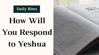 How Will You Respond to Yeshua - Daily Bites