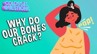Why Do Our Bones Crack Sometimes? | COLOSSAL QUESTIONS
