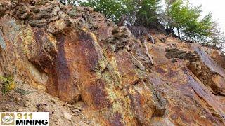 Chalcopyrite Stringer Veins With Gold, Silver, Copper, Lead & Zinc!