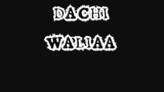 DACHI WALIAA