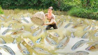 Harvesting A Lot Of Fish At Mud Pond Goes To Market Sell - Use Horse Carry Fish Goes To Market Sell.