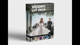 5 FREE Wedding Color Luts   Wedding Cinematic Luts   Presets   Wedding Color Grading Premiere PRO