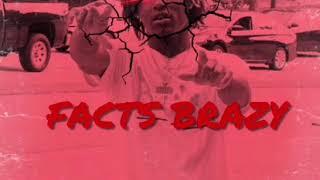 BHM FACTS - FACTS BRAZY [official audio]