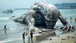 Scientists Stumped! Creature Of EXTRATERRESTRIAL Origin Found On A Beach In Indonesia!