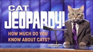 Are You a True Cat Lover? Take on the Cat Jeopardy Challenge