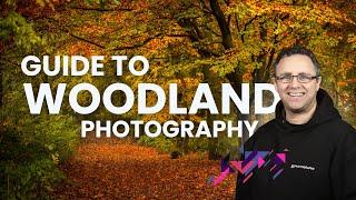 Capturing the Beauty of Intimate Woodland Photography