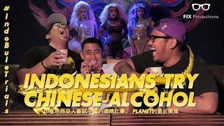 #IndoBuleTrials: Indonesians Try Chinese Alcohol feat. Drag queens of PLANET