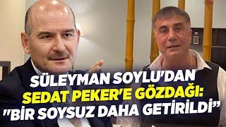 Süleyman Soylu'dan Sedat Peker'e Gözdağı: " 'Bir Soysuz Daha Getirildi' | KRT Haber