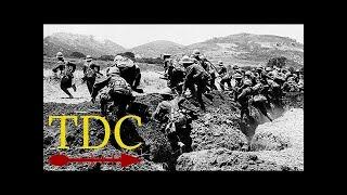 World War I: The History Of The First World War - National Geographic (Documentary)