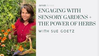 Engaging with Sensory Gardens + The Power of Herbs