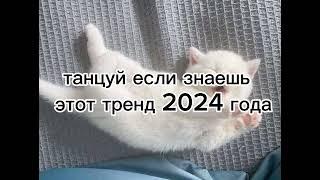  танцуй если знаешь этот тренд 2024 года 