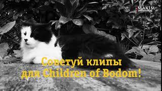 Скоро в Видеосалоне Children of Bodom!
