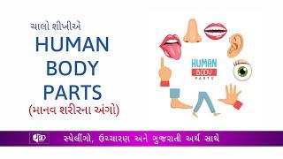 Human Body Parts with Gujarati Meaning | Limbs | Senses | JRD Classes