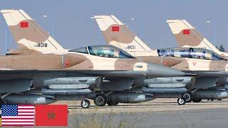 Afrikanischer Löwe. Leistungsstarke F-16 Fighting Falcon-Jäger der US Air Force und Marokkos.