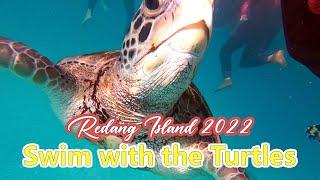 Redang Island 2022 | Swim with the Turtles | Fun & Excited