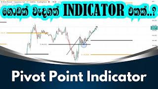 How to use Pivot Point Indicator for trading? Sinhala.