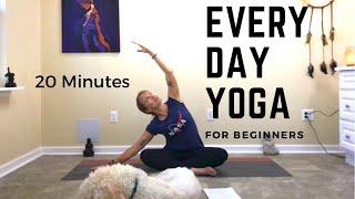 20 Min Everyday Yoga for Everybody | Beginner Yoga Practice | Morning Yoga