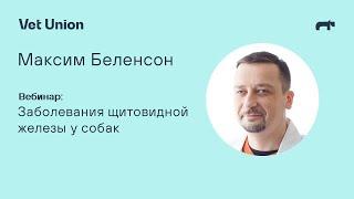 Заболевания щитовидной железы у собак