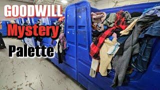 300 Items for ONLY $60  | Goodwill Mystery Palette