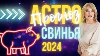 Астрологический прогноз на 2024 год. Свинья 