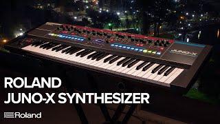 Im Überblick: JUNO-X Programmable Polyphonic Synthesizer