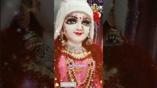 Radhe brij Jan man Sukh Kari #radha #krishna #vrindavan #premanand #barsan #kishori @GCLove44