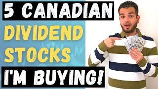 5 Best Canadian Dividend Growth Stocks to Buy Now for Second Half of 2024