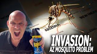 Ultimate Guide to Mosquitoes in Arizona: What You Need to Know!