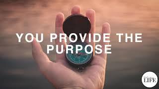 357 You Provide The Purpose