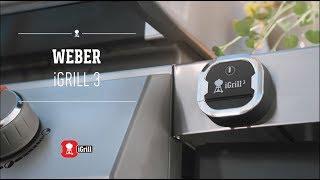 Weber Grill | Zubehör | iGrill 3 Thermometer