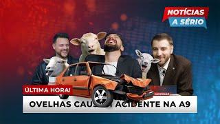 NOTÍCIAS A SÉRIO #15 - Ovelhas causam acidente na A9