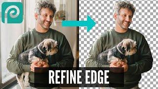 Remove background with refine edge in Photopea