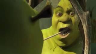 Shrek Intro Backwards Analysis