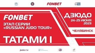 24.06.2023 Т1 Fonbet Международных соревнований - этап "Russian judo Tour". Предварительная часть.