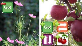 Cheat Codes for Plants: Plant Growth Hormones