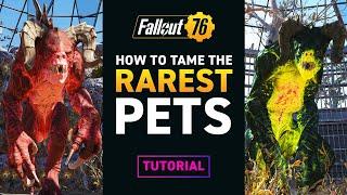 TAME THE RAREST PETS for your CAMP – Fallout 76 Tutorial