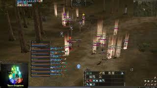 l2classic.club Dion x3 Interlude player teach how to play pvp on classic